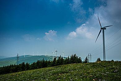 受恶意漏洞影响 《黑暗之魂》在线服务器被关闭 
